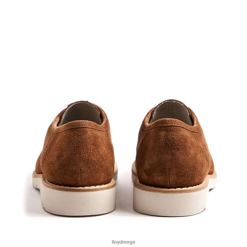 LLOYD levi menn sko brun 4X82ZP210