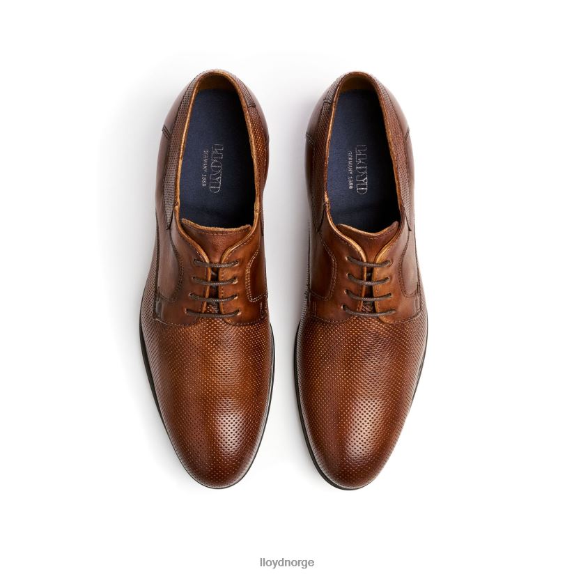 LLOYD levin menn sko brun 4X82ZP87