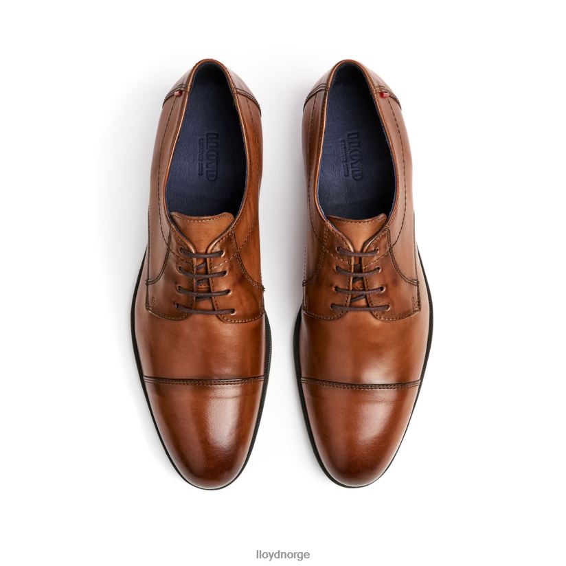 LLOYD lias menn sko brun 4X82ZP24