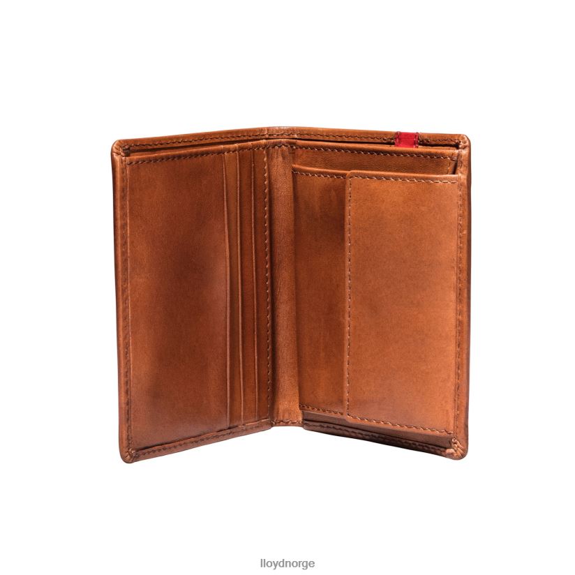 LLOYD lomme menn tilbehør brun 4X82ZP656