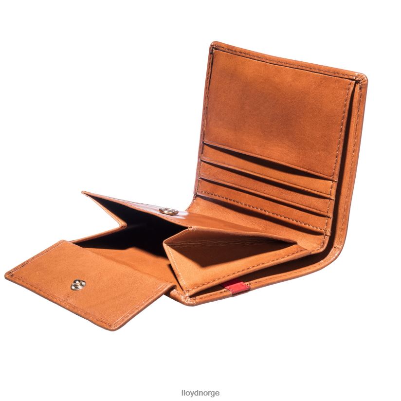 LLOYD lomme menn tilbehør brun 4X82ZP656