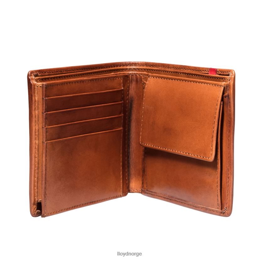 LLOYD lomme menn tilbehør brun 4X82ZP680