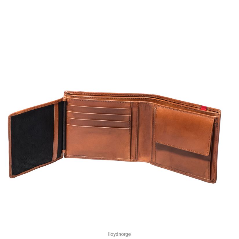 LLOYD lomme menn tilbehør brun 4X82ZP680