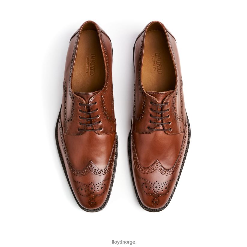 LLOYD lucien menn sko brun 4X82ZP574