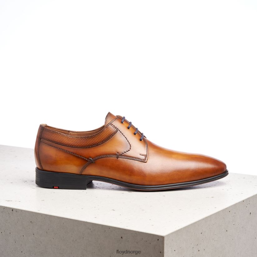 LLOYD madison menn sko brun 4X82ZP192