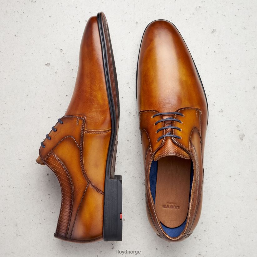 LLOYD madison menn sko brun 4X82ZP192