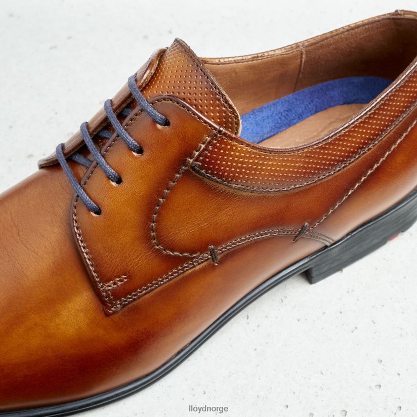 LLOYD madison menn sko brun 4X82ZP192