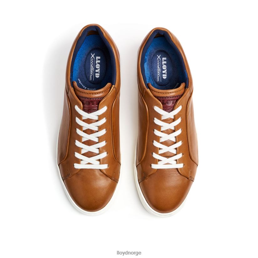 LLOYD majuro menn sko brun 4X82ZP258