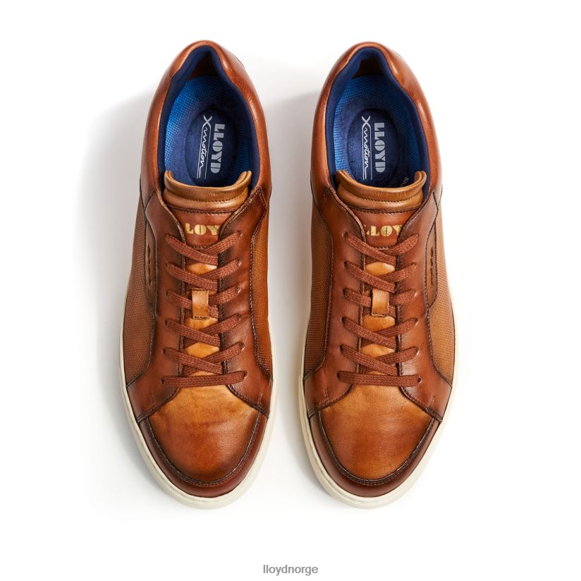 LLOYD malaga menn sko brun 4X82ZP1327