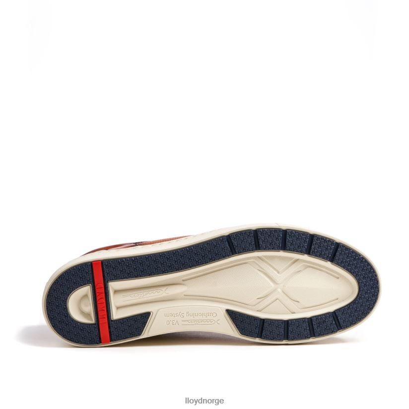 LLOYD malaga menn sko brun 4X82ZP1327