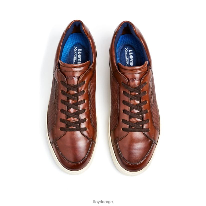 LLOYD malaga menn sko brun 4X82ZP249