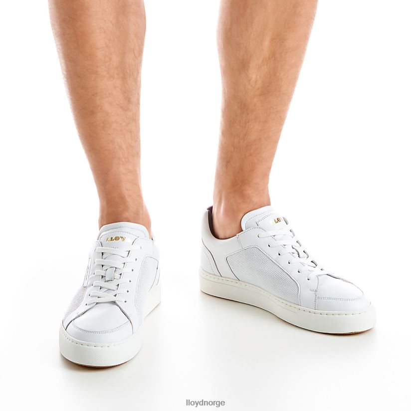 LLOYD malaga menn sko hvit 4X82ZP276