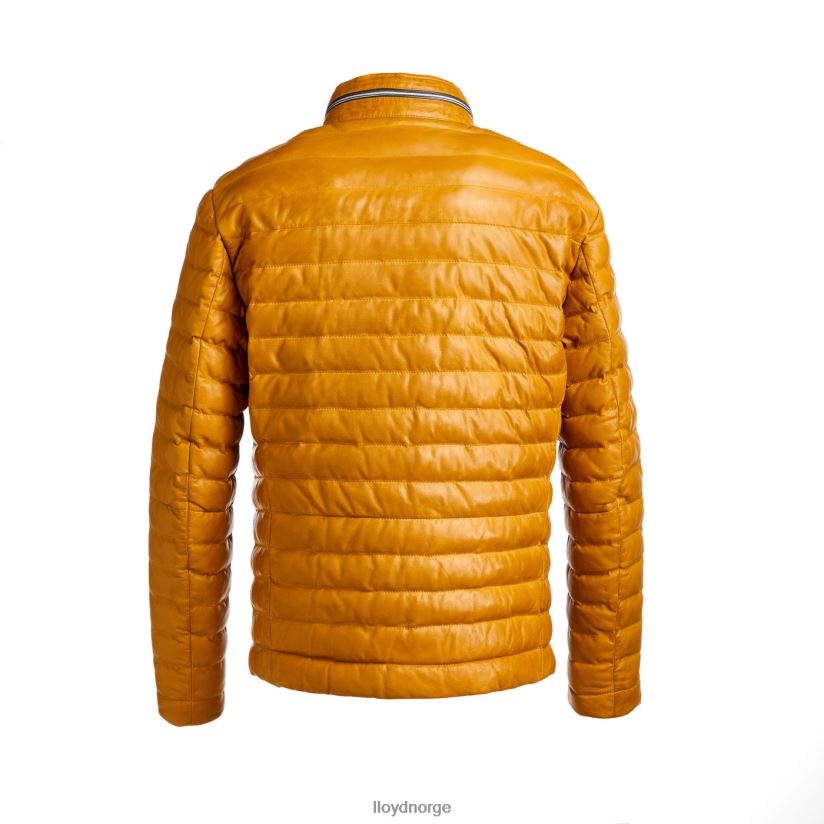 LLOYD malio menn klær gul 4X82ZP635