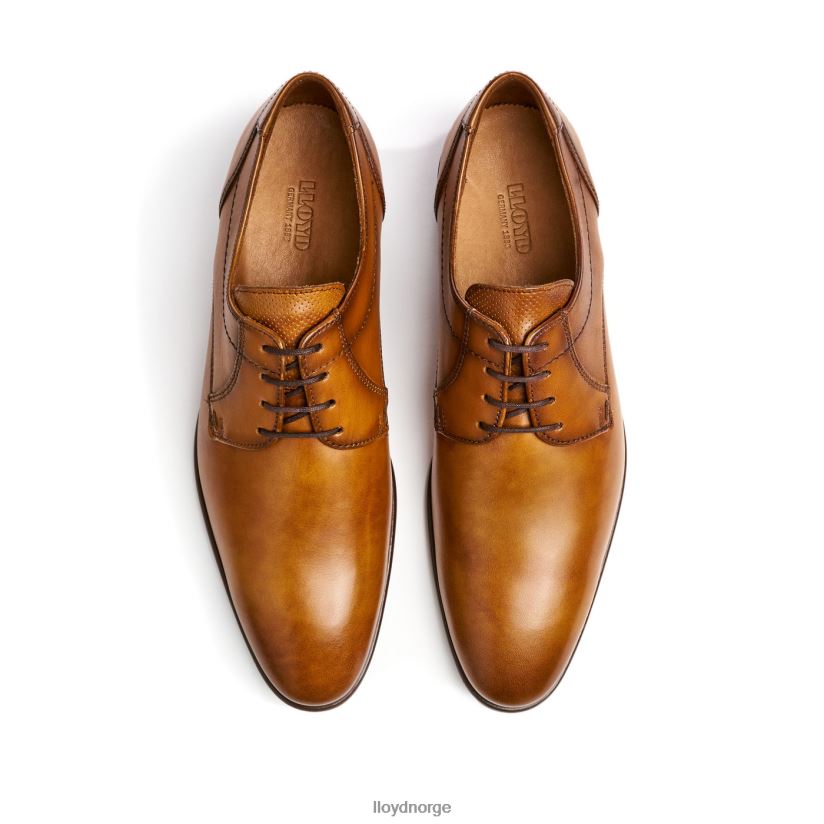 LLOYD manon menn sko brun 4X82ZP118