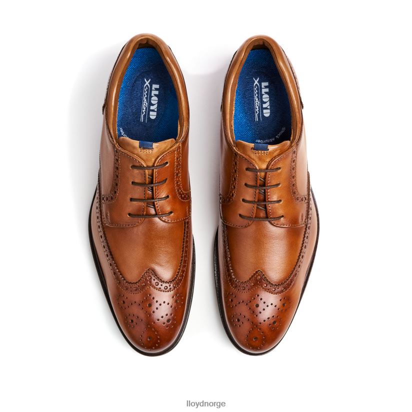 LLOYD marian menn sko brun 4X82ZP141