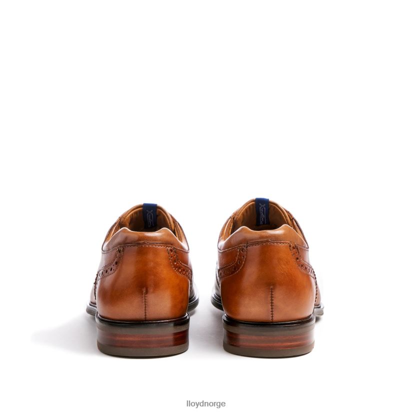 LLOYD marian menn sko brun 4X82ZP141