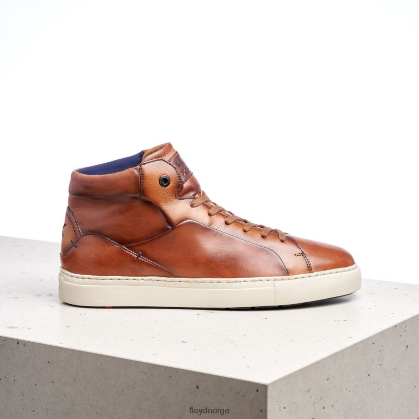 LLOYD marskalk menn sko brun 4X82ZP254