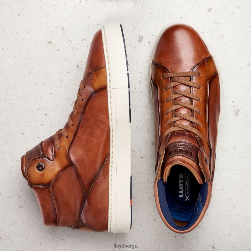 LLOYD marskalk menn sko brun 4X82ZP254