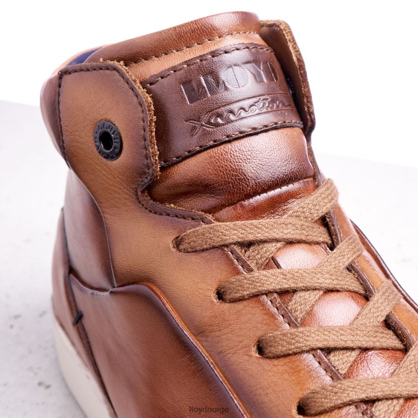 LLOYD marskalk menn sko brun 4X82ZP254