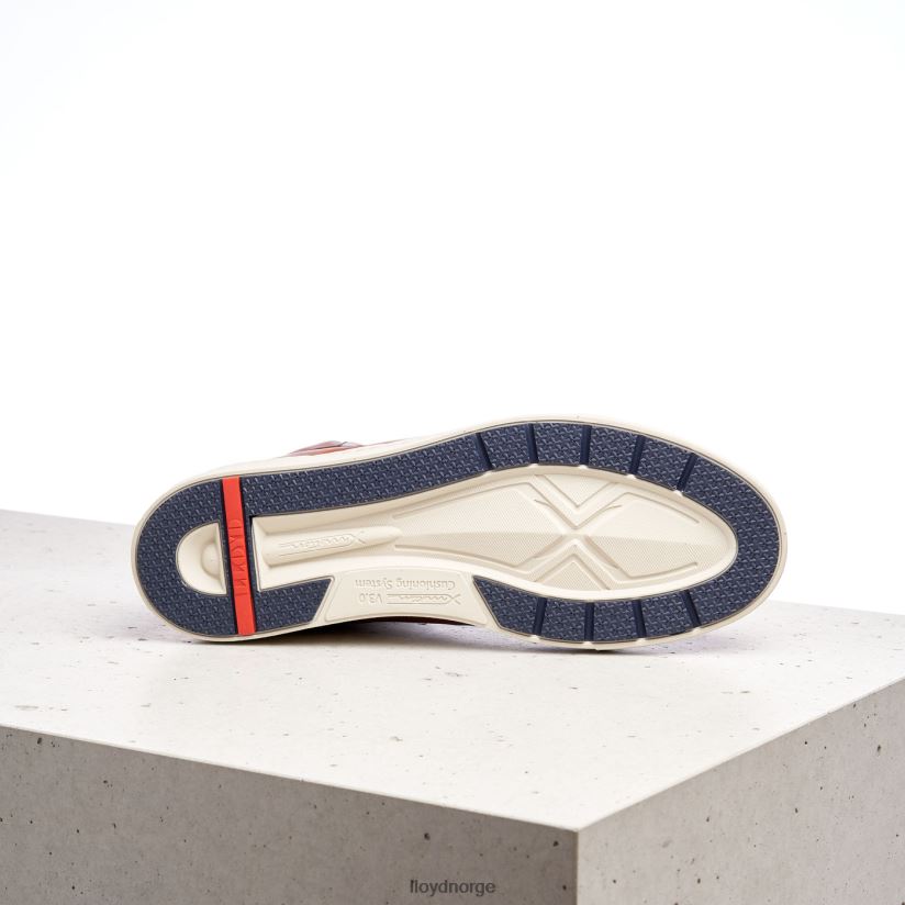 LLOYD marskalk menn sko brun 4X82ZP254