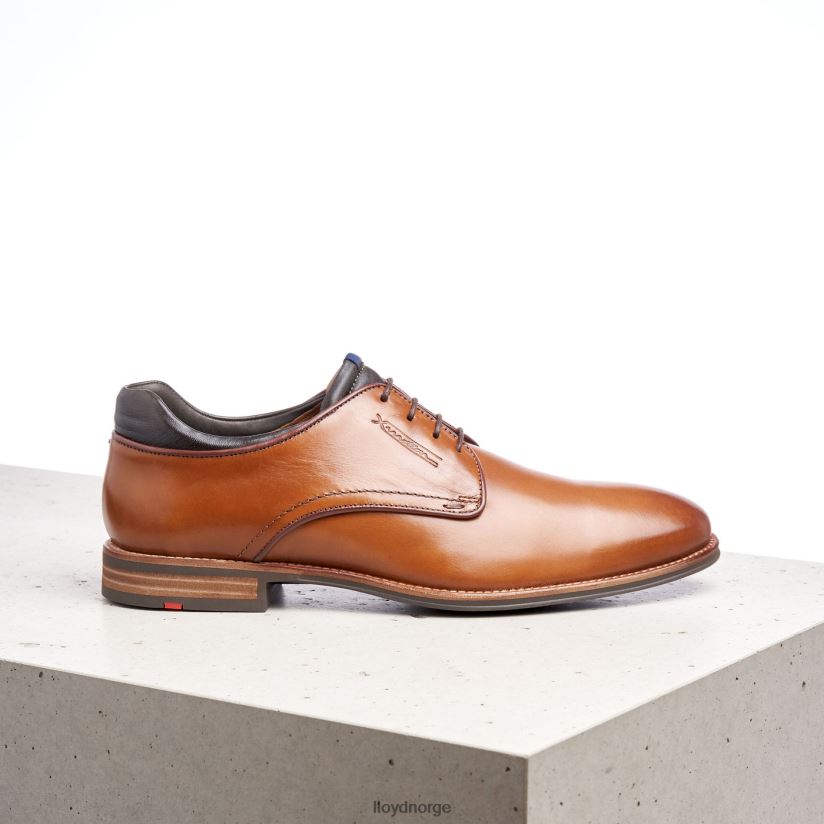 LLOYD massimo menn sko brun 4X82ZP201