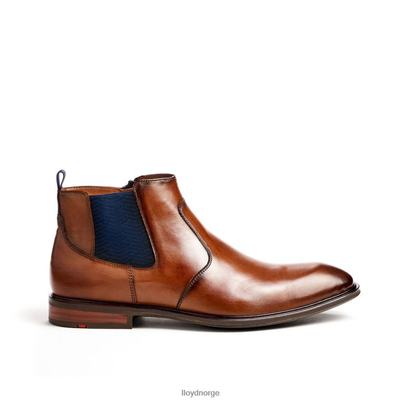 LLOYD matteo menn sko brun 4X82ZP12