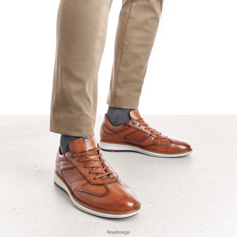 LLOYD matter menn sko brun 4X82ZP261