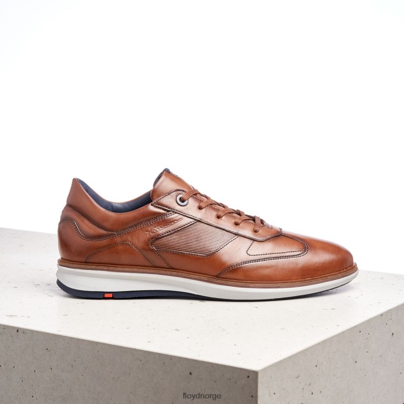 LLOYD matter menn sko brun 4X82ZP261