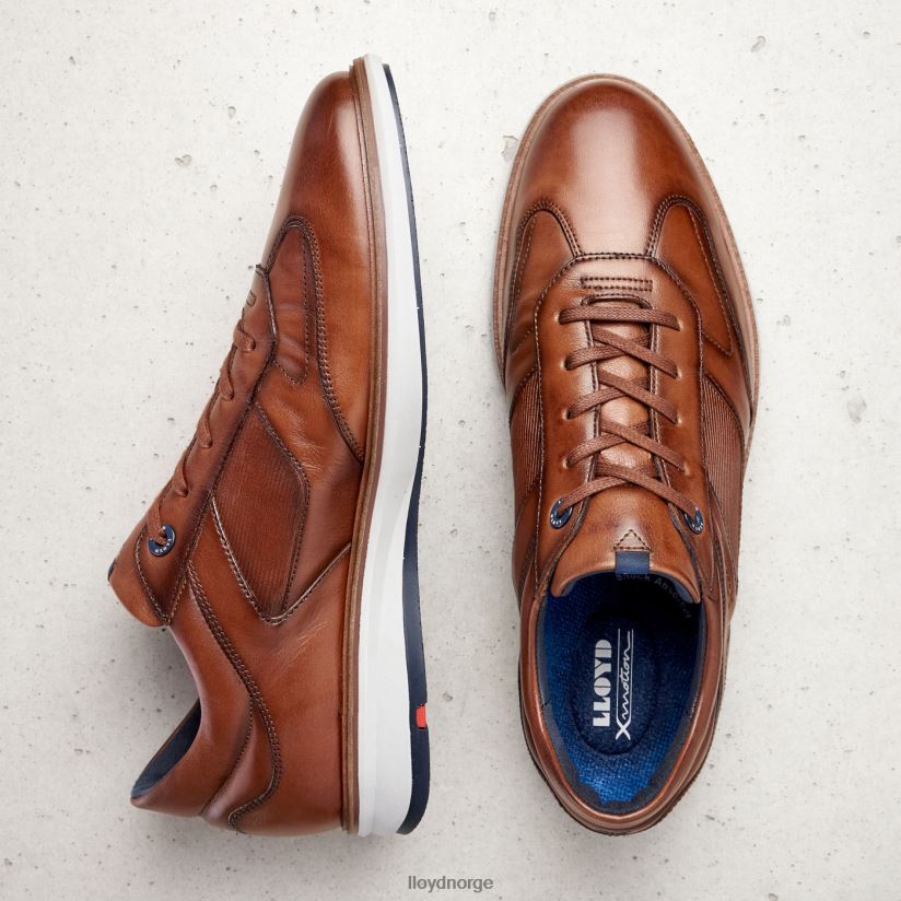 LLOYD matter menn sko brun 4X82ZP261