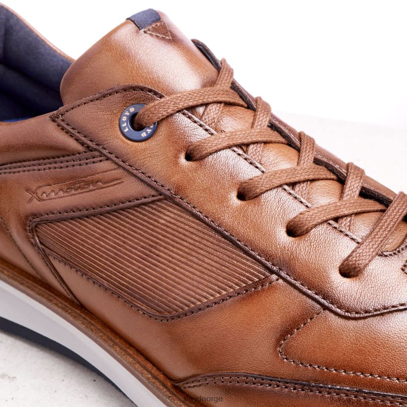 LLOYD matter menn sko brun 4X82ZP261