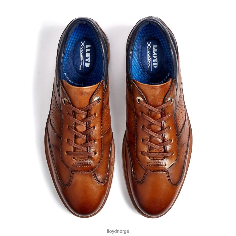 LLOYD maxim menn sko brun 4X82ZP250