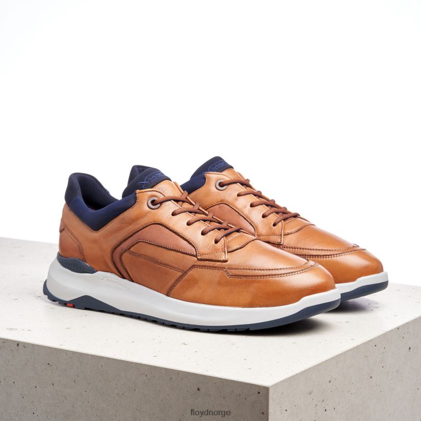 LLOYD memphis menn sko brun 4X82ZP1328