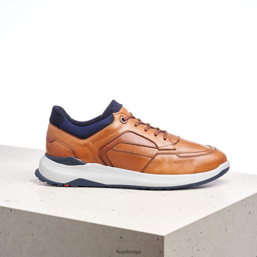 LLOYD memphis menn sko brun 4X82ZP1328