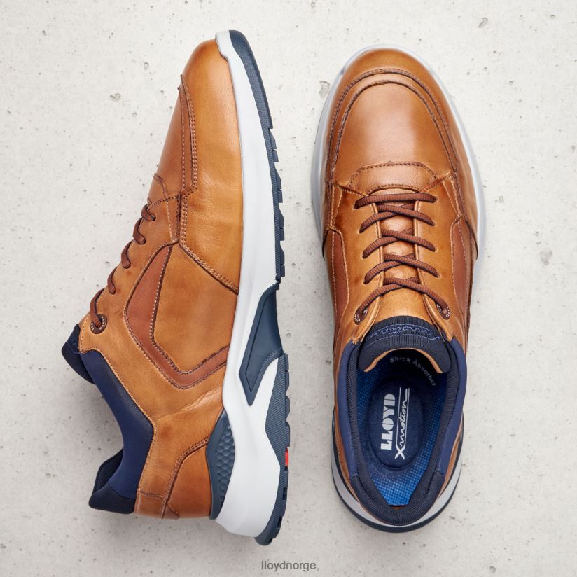 LLOYD memphis menn sko brun 4X82ZP1328