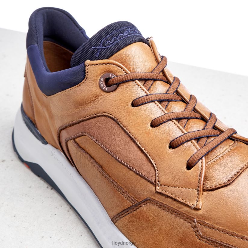 LLOYD memphis menn sko brun 4X82ZP1328