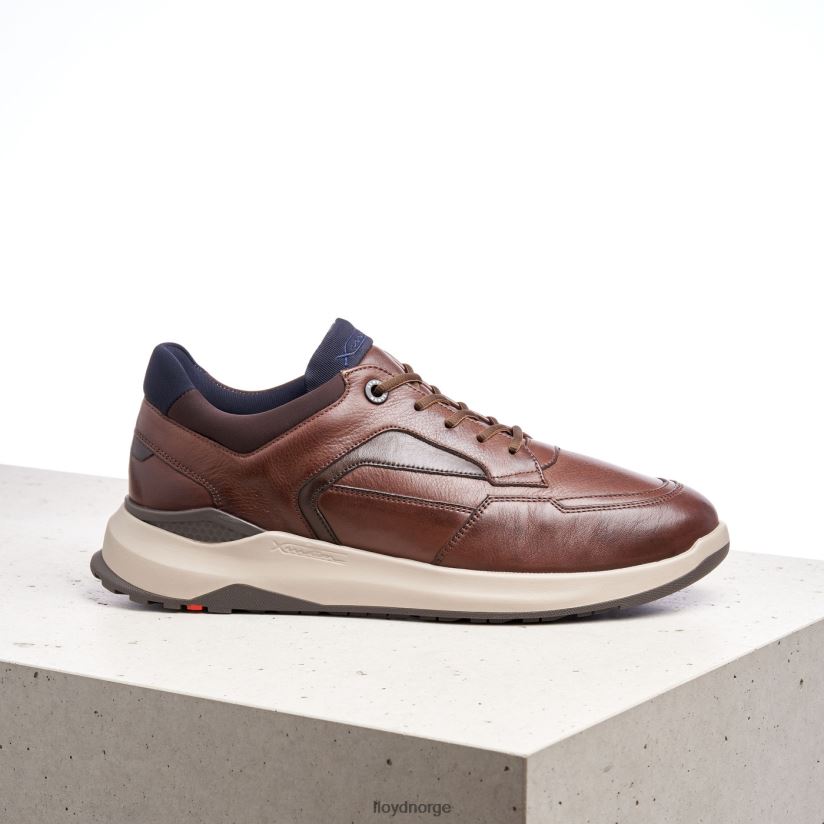 LLOYD memphis menn sko brun 4X82ZP267
