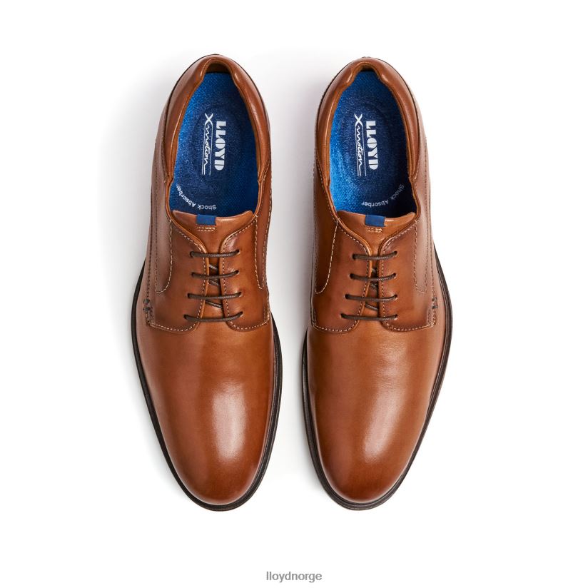 LLOYD milan menn sko brun 4X82ZP5