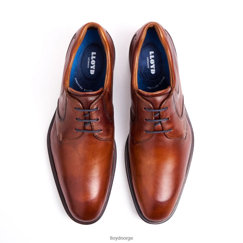 LLOYD monty menn sko brun 4X82ZP134
