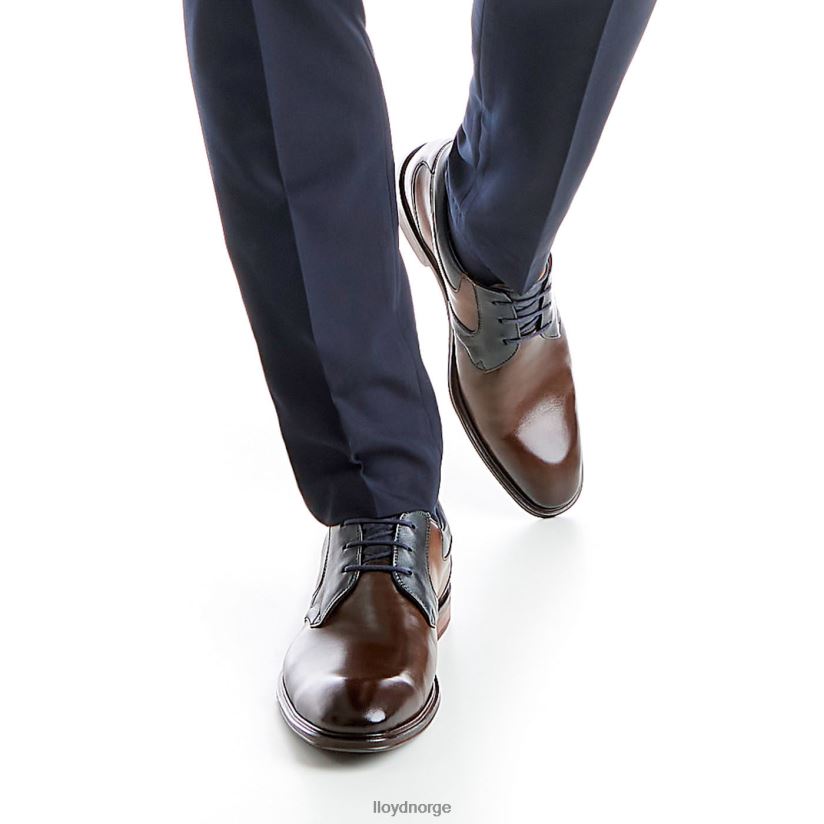 LLOYD monty menn sko brun 4X82ZP227