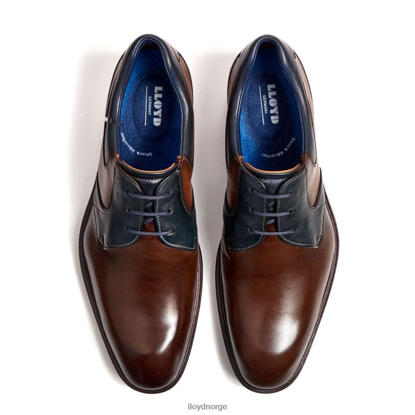 LLOYD monty menn sko brun 4X82ZP227