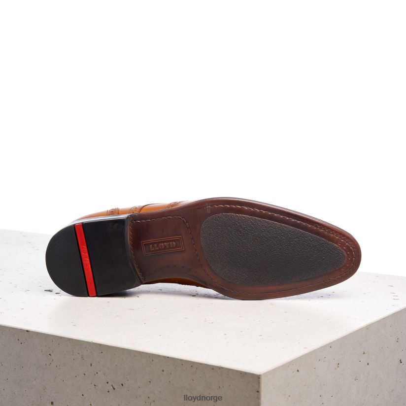 LLOYD morton menn sko brun 4X82ZP1321
