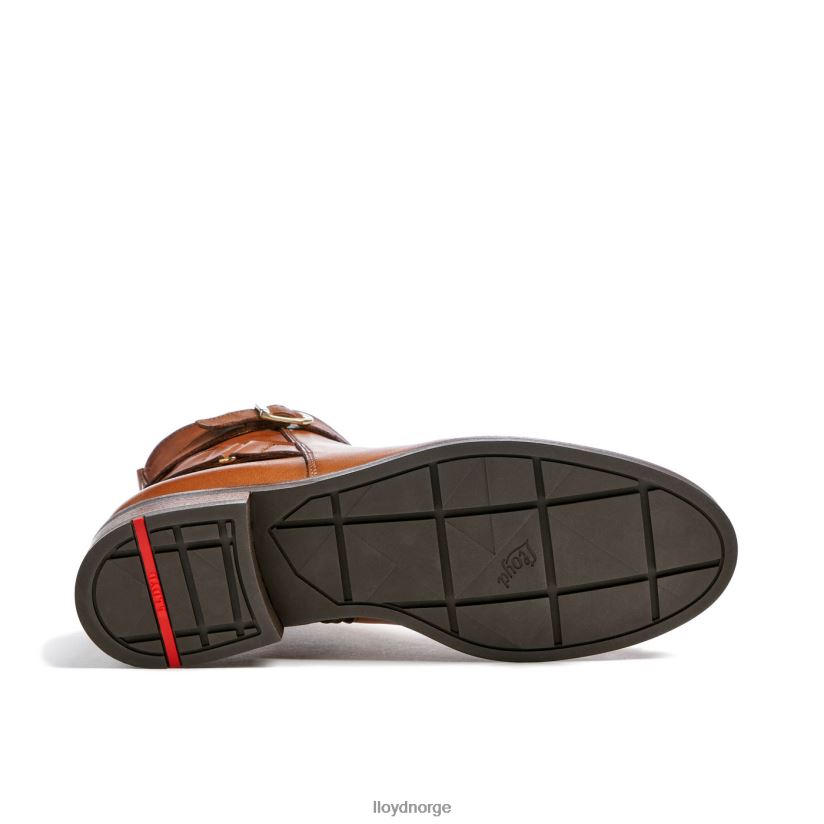 LLOYD mote ankelstøvlett i glatt skinn kvinner sko brun 4X82ZP900