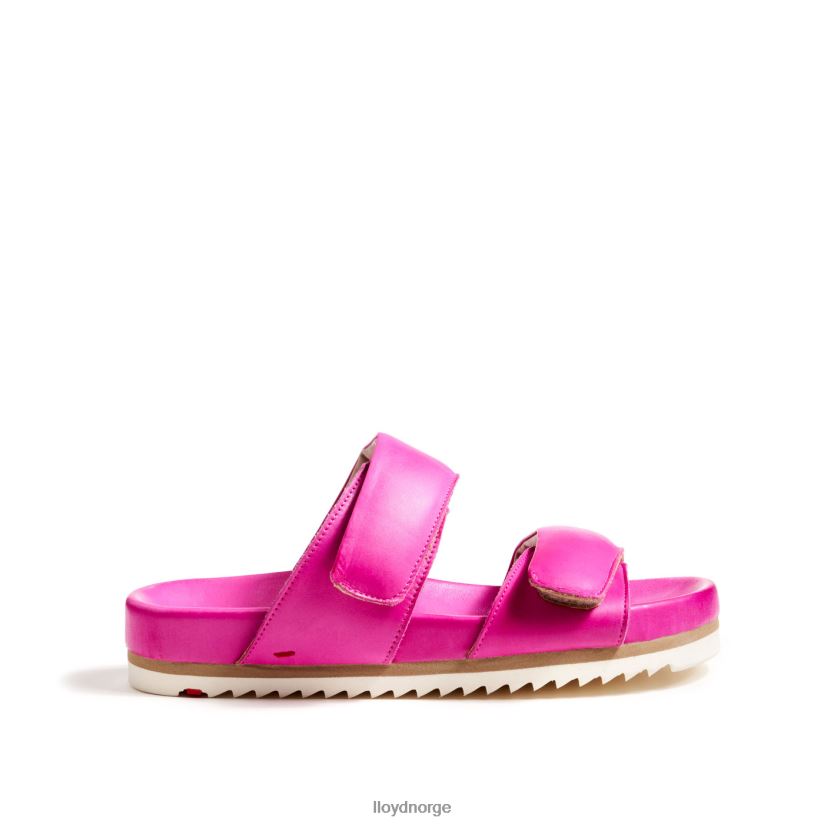 LLOYD muldyr kvinner sko rosa 4X82ZP1232