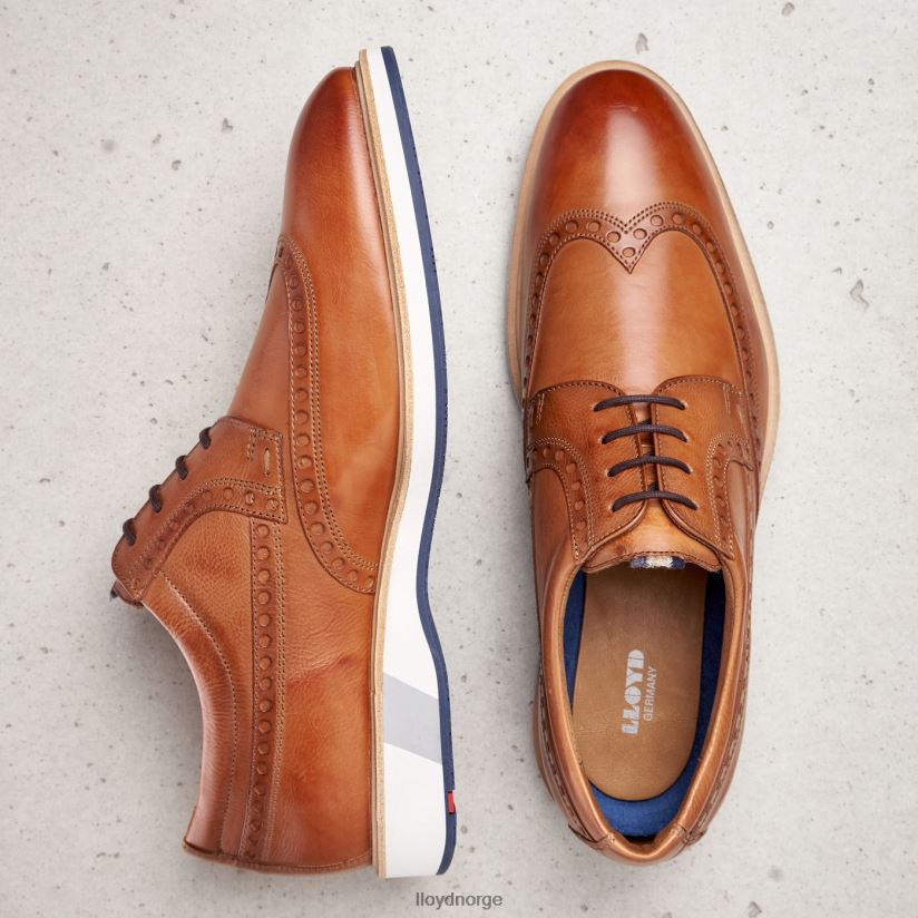 LLOYD nafir menn sko brun 4X82ZP247