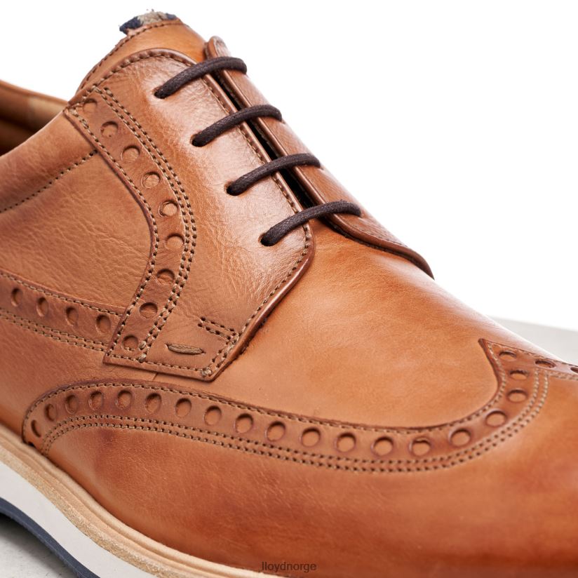 LLOYD nafir menn sko brun 4X82ZP247