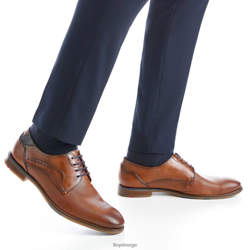 LLOYD namir menn sko brun 4X82ZP217