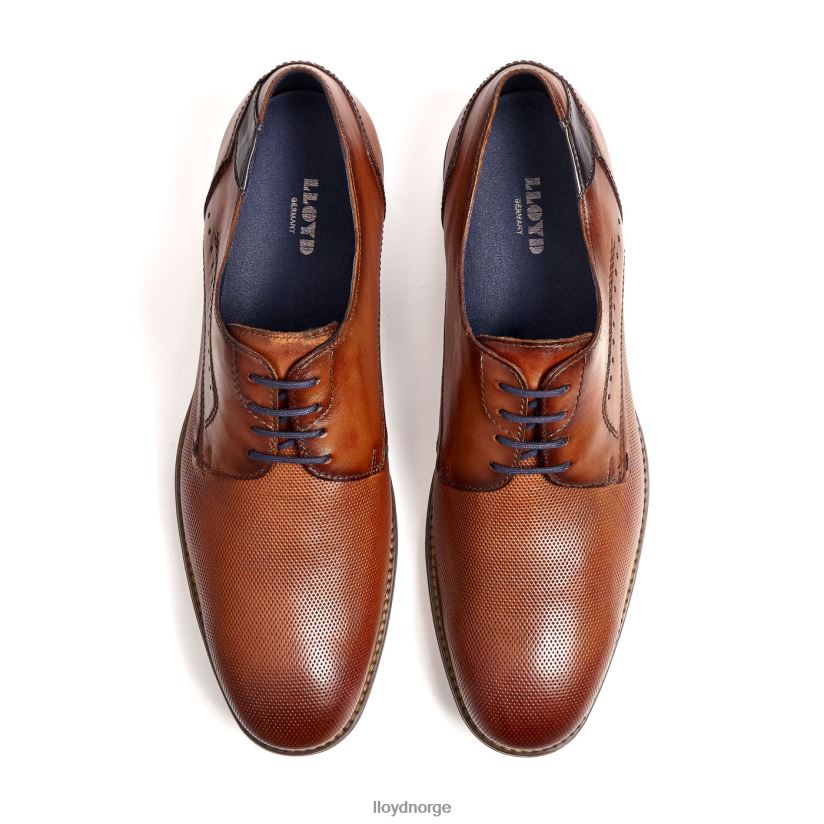 LLOYD namir menn sko brun 4X82ZP217