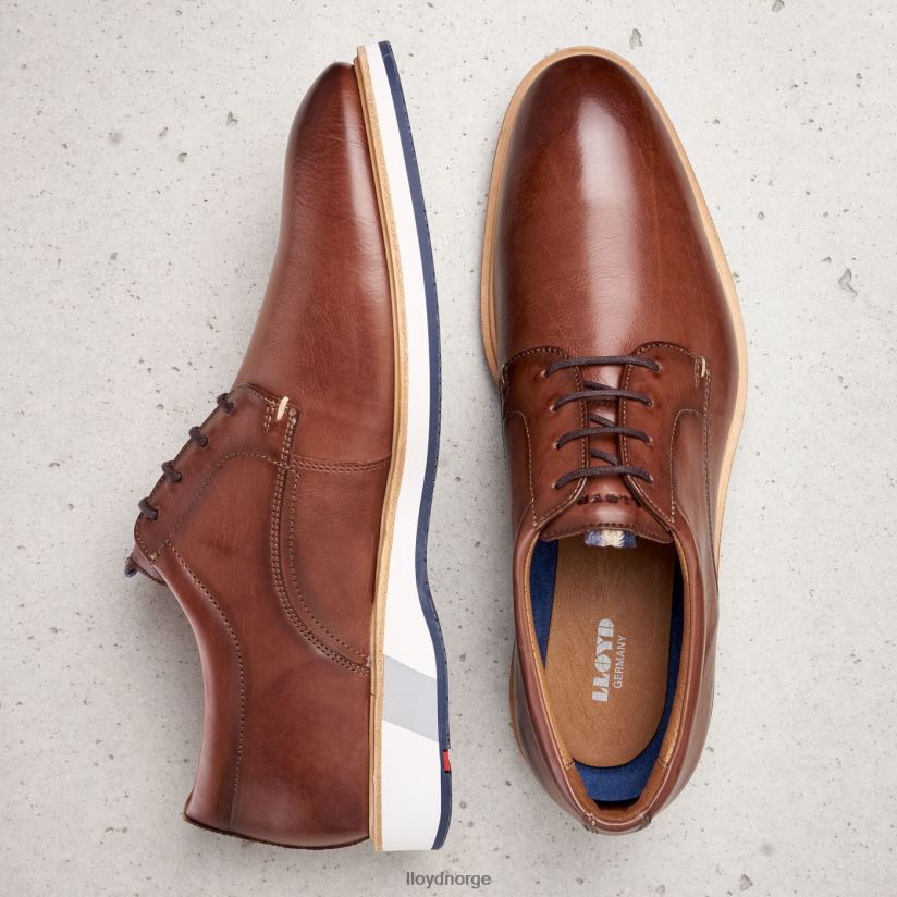 LLOYD neptun menn sko brun 4X82ZP218