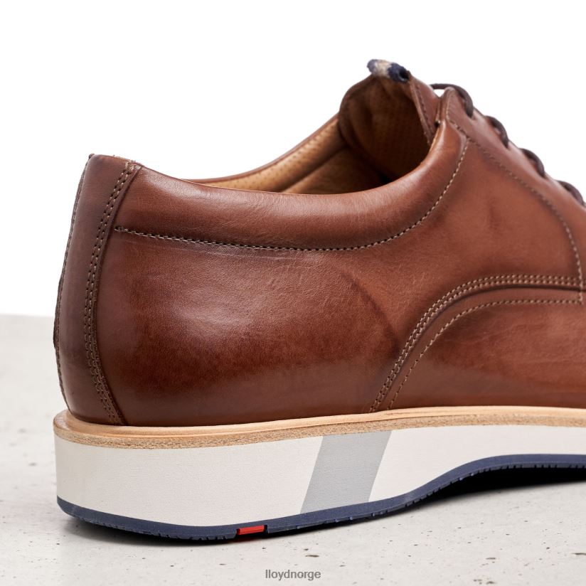 LLOYD neptun menn sko brun 4X82ZP218