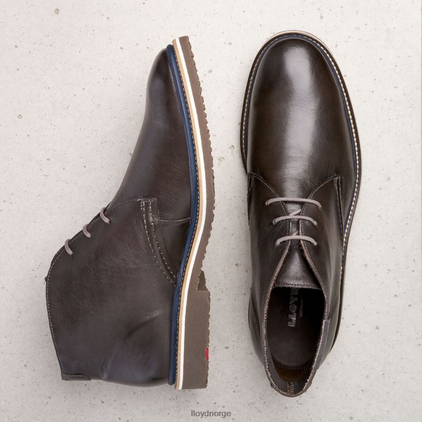 LLOYD norko menn sko grå 4X82ZP493